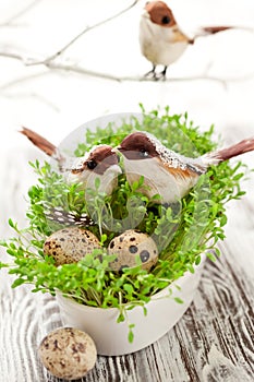 Birds and eggs on the  cress