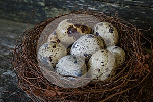 Birds eggs in nest, wooden background