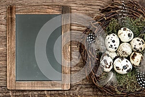 Birds eggs in nest, wooden background, blackboard