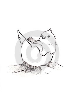 The birds in the eggshell lay on the sand. Line drawing cartoon style illustration on a white background.