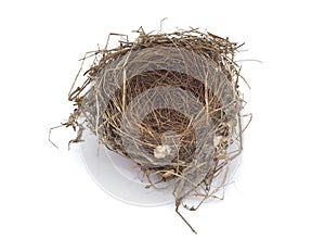 Birds empty nest