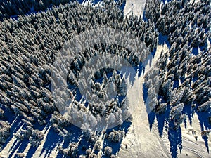 Birds eye, aerial view of forest covered with snow