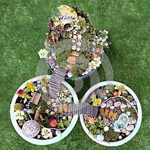 Birds eye view of fairy garden in a flower pot