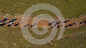 Birds eye view of a group of people backpacking on a trail path