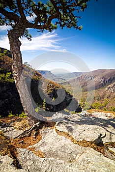 Birds eye view of the Linville Gorge photo