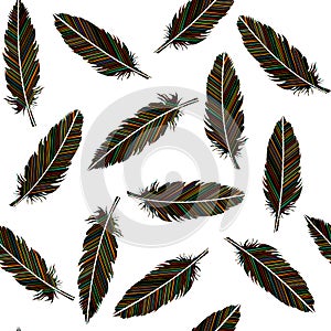Birds feathers seamless. Feathers with colored lines pattern