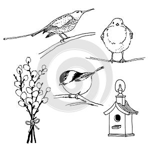 Birds, feeder and willow twig set, hand drawn collection isolated on white background