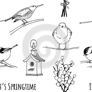 Birds, feeder and willow twig set, hand drawn collection isolated on white background