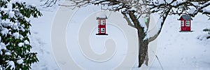 Birds feeders hang on the branches in the form of beautiful red houses