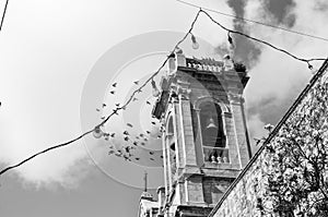 Birds in flight above a bell tower in a Mediterrenean town