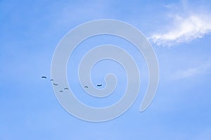 Clouds and birds in the blue sky