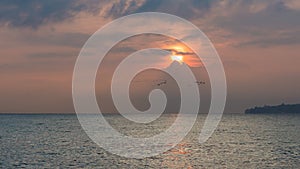 Birds Flock Flying over Lake Leman with Sunrise behind Clouds an