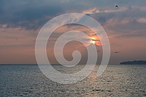 Birds Flock Flying over Lake Leman with Sunrise behind Clouds an