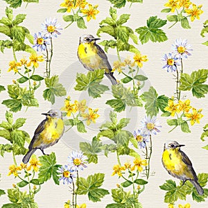 Birds in floral garden - flowers, herbs. Watercolor. Repetitive pattern.