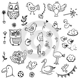 Birds and flower doodle drawing vector set