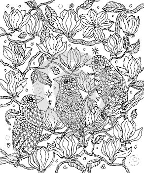 Birds and flowers coloring page. Gouldian finches