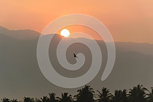 Birds fly at sunrise behind the mountains.