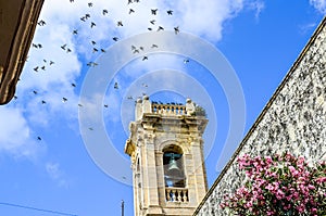 Birds flying above a bell tower in Malta