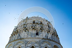Birds flying above the Pisa Baptistery of St. John