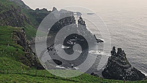 Birds flying at the beautiful Seabird Centre at the shoreline of Rathlin Island in Ireland - wide s