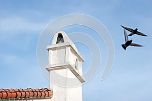 Birds flying by chimney