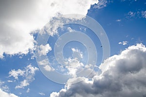 Birds flying between clouds