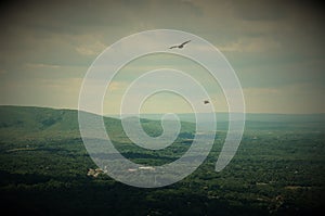 Birds flying high floating with wings out in blue sky with green hills in the background. Landscape. Summer. Vintage style.