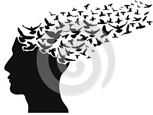 Birds flying human head