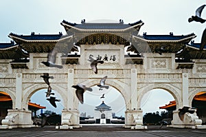 Birds Flying infront of Chiang Kai Shek Memorial Hall