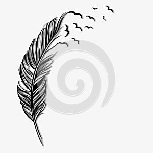 Birds flying ot of a quill