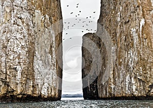 Birds Flying over Kicker Rock, Galapagos