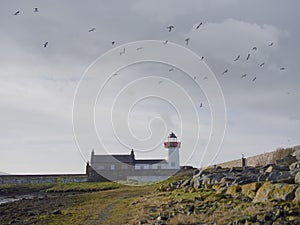 Birds flying over old white lighthouse, Mutton Island, Galway city Ireland. Cloudy sky