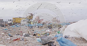 Birds flying over rubbish piled on a landfill full of trash