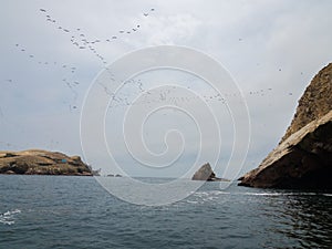 Birds flying over the sea, at Ballestas Islands Peru