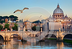 Birds and Vatican photo