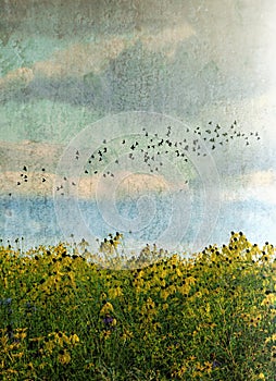 Birds flying over wild flowers