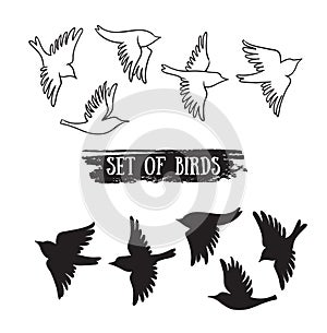 Birds flying in the sky.Vector black icons.