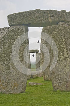 Birds flying among Stonehenge