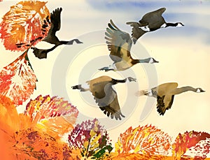 Birds flying to south. Autumn
