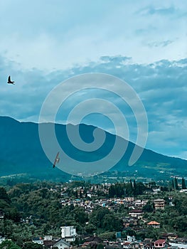 Birds are flying togheter with a mountain background