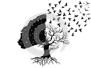 Birds flying from the tree