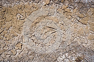 Birds footprints on sand beach or soil dry mud in sunny day