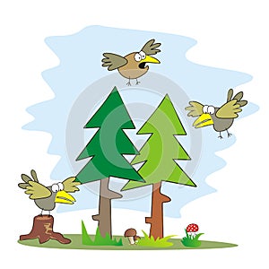 Birds and forest