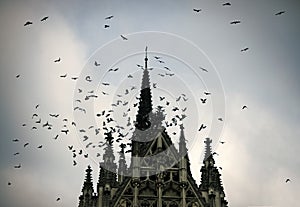 Birds and gothic church.