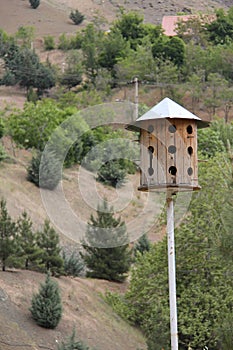 Birds House in Bame Tehran, IRAN photo