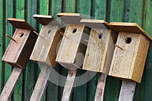 Birds houses