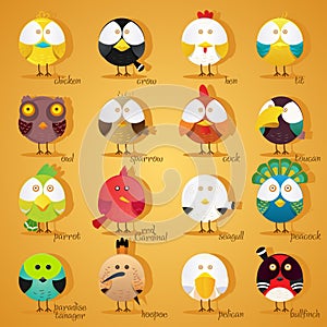 Birds icon set