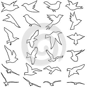 Birds icon vector set. animals illustration sign collection. nature symbol.