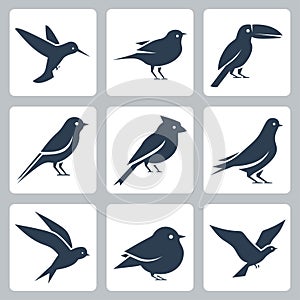Birds icons in glyph style