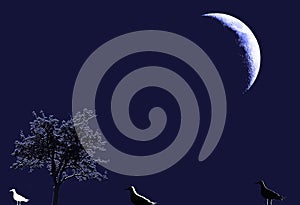 Birds illustration against single bare leafless tree and half  moon silhouette in blue, black and white.